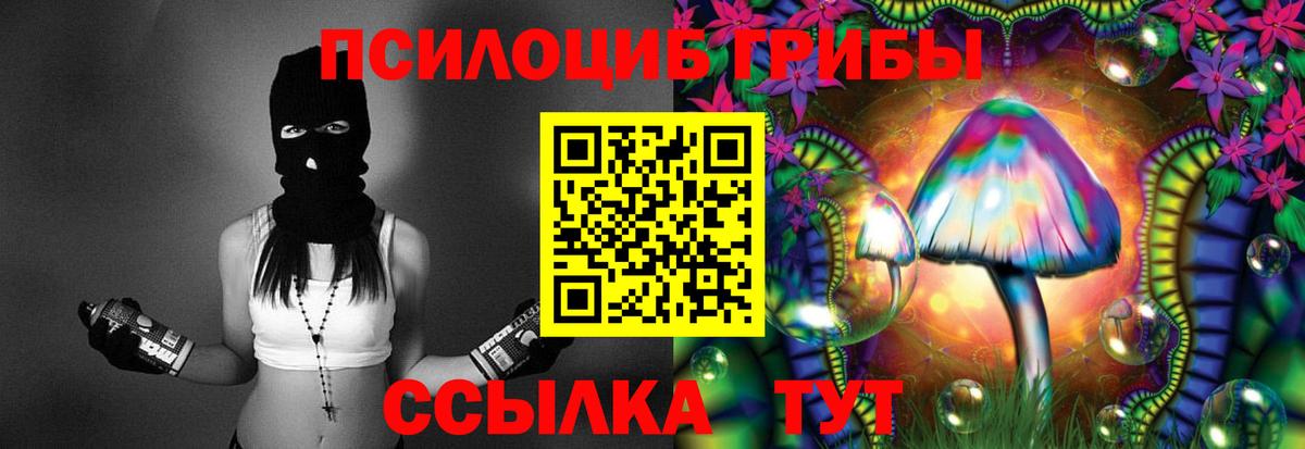 Псилоцибиновые грибы Cubensis Свободный